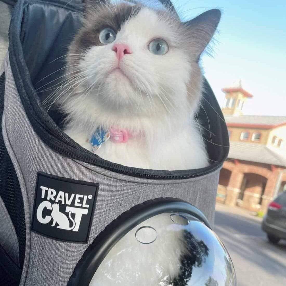 Travel Cat | Your Cat Backpack - "The Fat Cat" Mini Cat Backpack - Bubble Pet Carrier